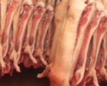 Китай увеличит поставки свинины в Россию Китай планирует в пять. Сыновья ким чен ира